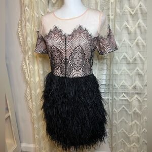 Sugar Lips Ostrich Feather Lace Sheer Party Cocktail Dress Black Nude Medium